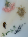 Diepte•Still