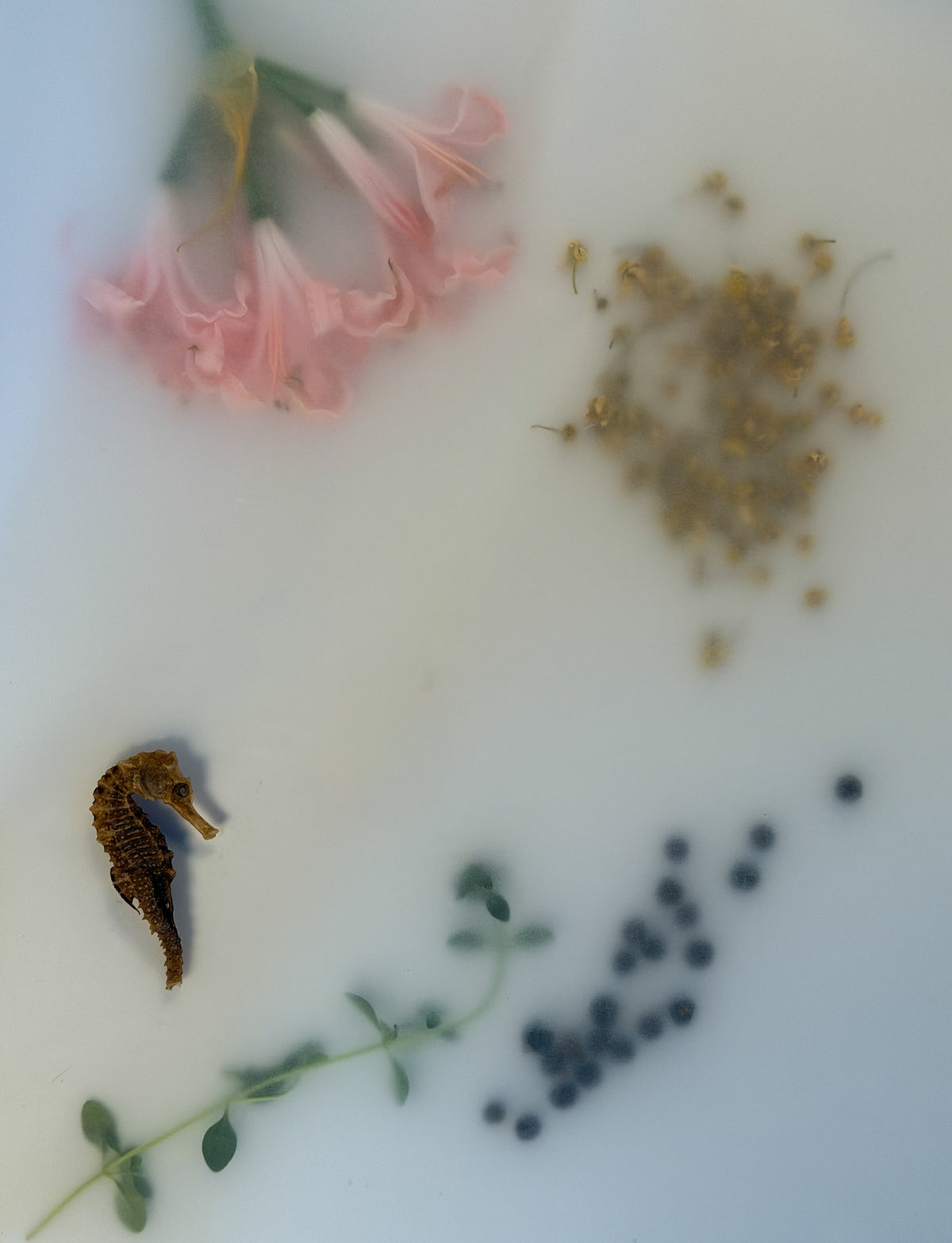 Diepte•Still